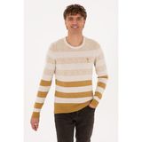 U.S. Polo Assn. Erkek Regular Fit Bisiklet Yaka Hardal Kazak 50307872-VR151 - Oil - M