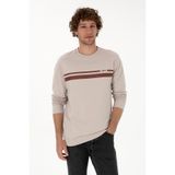 U.S. Polo Assn. Erkek Regular Fit Bisiklet Yaka Taş İnce Sweatshirt 50313801-VR049