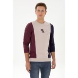 U.S. Polo Assn. Erkek Regular Fit Bisiklet Yaka Taş İnce Sweatshirt 50316379-VR049
