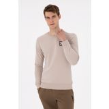 U.S. Polo Assn. Erkek Regular Fit Bisiklet Yaka Taş Sweatshirt 50293456-VR049
