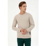 U.S. Polo Assn. Erkek Regular Fit Bisiklet Yaka Taş Sweatshirt 50293471-VR049