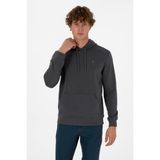 U.S. Polo Assn. Erkek Regular Fit Kapüşonlu Grı Basic Sweatshirt 50313720-VR024 - Gri - 3XL