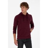 U.S. Polo Assn. Erkek Regular Fit Kapüşonlu Koyu Bordo Basic Sweatshirt 50315663-VR177