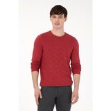 U.S. Polo Assn. Erkek Slim Fit Bisiklet Yaka Vişne Basic Kazak 50288882-1114