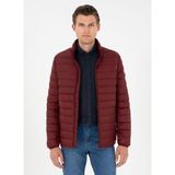 U.S. Polo Assn. G081SZ0MS.000.1948744 Bordo Erkek Mont