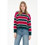 U.S. Polo Assn. Kadın Fuşya Bisiklet Yaka Kazak 50293145-VR023