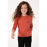 U.S. Polo Assn. Kız Çocuk Gül Kurusu Bisiklet Yaka Basic Kazak 50316808-VR026 - 13 - 14 Yaş