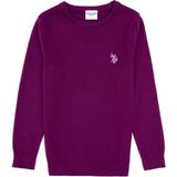 U.S. Polo Assn. Kız Çocuk Menekşe Bisiklet Yaka Basic Kazak 50316808-VR037 - 3 - 4 Yaş