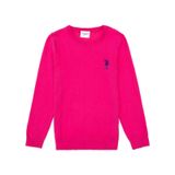 U.s. Polo Assn. Kız Çocuk Menekşe Kazak /triko 50288945-vr037