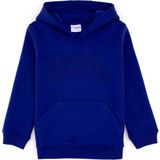 U.S. Polo Assn. Kız Çocuk Mor Basic Kapüşonlu Şardonlu Basic Sweatshirt 50314311-VR038 - 10 - 11 Yaş - Mor 00