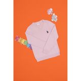 U.S. Polo Assn. Kız Çocuk Pembe V Yaka Basic Kazak 50294198-vr041