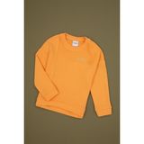 U.S. Polo Assn. Kız Çocuk Turuncu Bisiklet Yaka Sweatshirt 50317991-VR244 - Mango - 12 - 13 Yaş