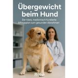 Übergewicht beim Hund: Der klare, medizinisch fundierte Alltagsplan zum gesunden Abnehmen