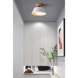Uçar Dolly Modern Hol Koridor Giriş Için Tekli Plofonyer Metal Avize
