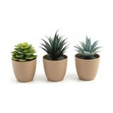 Üçlü Mini Yapay Sukulent Seti – 8 cm Saksı, Dekoratif Küçük Bitki Seti, Gerçekçi Görünüm, Salon Ofis Ev Masa Üstü Süs Bitkisi, Bakım Gerektirmez, Modern Dekor - Option-1