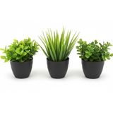 Üçlü Mini Yapay Sukulent Seti – 8 cm Saksı, Dekoratif Küçük Bitki Seti, Gerçekçi Görünüm, Salon Ofis Ev Masa Üstü Süs Bitkisi, Bakım Gerektirmez, Modern Dekor (SİYAH)