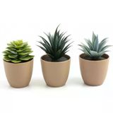 Üçlü Mini Yapay Sukulent Seti – 8 cm Saksı, Dekoratif Küçük Bitki Seti, Gerçekçi Görünüm, Salon Ofis Ev Masa Üstü Süs Bitkisi, Bakım Gerektirmez, Modern Dekor