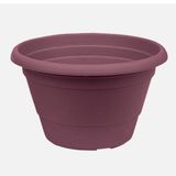 Üçsan Ürgüp 0,5 lt Bordo Menekşe Saksısı