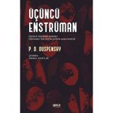 Üçüncü Enstrüman - Peter Demianovich