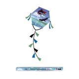 Uçurtma Kites Kendi Uçurtmanı Kendin Yap Kartal Desenli
