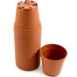 Ucuz Marketim Ucuzzavm Kaktüs & Sukulent Üretim Saksı 5,5 cm 50 Adet