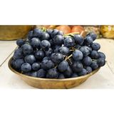 Ucuzluk Diyarı Adet ( Öküz Gözü ) Üzüm Fidanı Tüplüdür 20-30 cm 1,5 Yaş