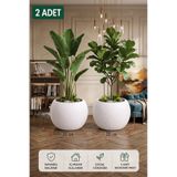 UcuzzAVM İkili Set Küre Model Beyaz Plastik Saksı - Büyük Boy Salon Ve Balkon Saksısı 30x30 cm Ekonomik Plastik Saksı İçliksiz boş saksı