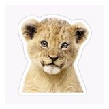 Ufak Bebek Aslan Araba Oto Sticker Etiket Renkli Z5