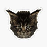 Ufak Bebek Kedi Araba Oto Sticker Etiket Renkli A1