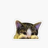 Ufak Bebek Kedi Araba Oto Sticker Etiket Renkli A8