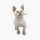 Ufak Bebek Kedi Araba Oto Sticker Etiket Renkli C1