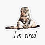 Ufak Bebek Kedi Araba Oto Sticker Etiket Renkli C9