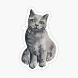 Ufak Bebek Kedi Araba Oto Sticker Etiket Renkli E5
