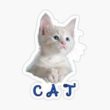 Ufak Bebek Kedi Araba Oto Sticker Etiket Renkli E8