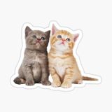Ufak Bebek Kedi Araba Oto Sticker Etiket Renkli Y6
