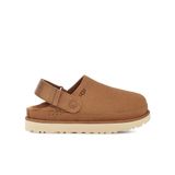 Ugg 1138252-CHE Kahverengi W Goldenstar Clog Kadın Terlik