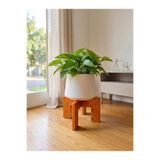 UĞRAŞ Ahşap Saksı Standı - 4 Renk 25 cm x 15 cm Saksılık - Saksı Altlığı , Bitki Standı ve Çiçeklik