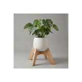 UĞRAŞ Dekoratif Ahşap Saksılık - Modern Dekoratif Bitki Saksı Altlığı 30 CM Çap (3 Farklı Renk Seçeneği)