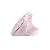Ugreen 2.4Ghz USB Bağlantısı, 4000 Dpi, 57° Dikey Açı, Ergonomik Dikey Kablosuz Gelişmiş Mouse, Pemb