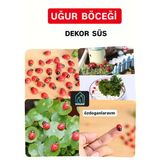 Uğur Böceği Ahşap Parti Dogum Günü Dekor Süslemesi 50 Adet