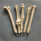 Uğur Ticaret Ankara 5 Adet Kemik Şeklinde Tükenmez Kalem, Ergonomik Oval Tasarım, Orta Uçlu, Plastik, Çekilebilir, Hemşireler, Doktorlar, Ofis Kullanımı, Tıbbi Defter Yazma Malzemeleri Için Mükemmel Hediye