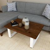 Uğurlu Baylar Doğal Ağaç Orta Sehpa - ceviz - 50x100 cm
