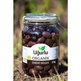 Uğurlu Organik Iri Sele Siyah Zeytin (2 Kg)