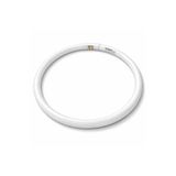 Ulbay T5 Floresan Simit Ampul 26 cm Dış / 23 cm İç Çap, %80 Enerji Tasarruflu Beyaz Işık İnce Model 1 Adet