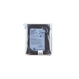 ULTRA GÜVENLİK 500 GB Seagate 3,5'' 7/24 Kurumsal Güvenlik Harddiski