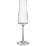 UltraMint Şampanya Kadehi 6'lı, Kristal Cam, 210 Ml, Şık ve Zarif Tasarım - Ahşap - Seçenek 1
