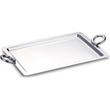 UltraMint Şık ve Dayanıklı 20X35 cm Servis Tepsisi, Kolay Kullanımlı ve Pratik Tasarım - Altın - Gümüş - Bakır - Seçenek 1