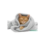 UltraNova Vaelmont Peluş Kedi Battaniyesi 60X80 cm - Sıcacık ve Yumuşak Kedi ve Köpek Yatağı - Siyah - Seçenek 1