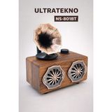 UltraTekno NS-801BT Gerçek Ahşap Gramofon Tipi Bluetooth Hoparlör Fm Radyo - Açık Ahşap