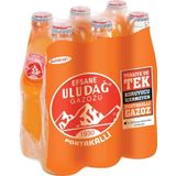 Uludağ Efsane Gazozu Portakallı 250 Ml X 6 Adet
